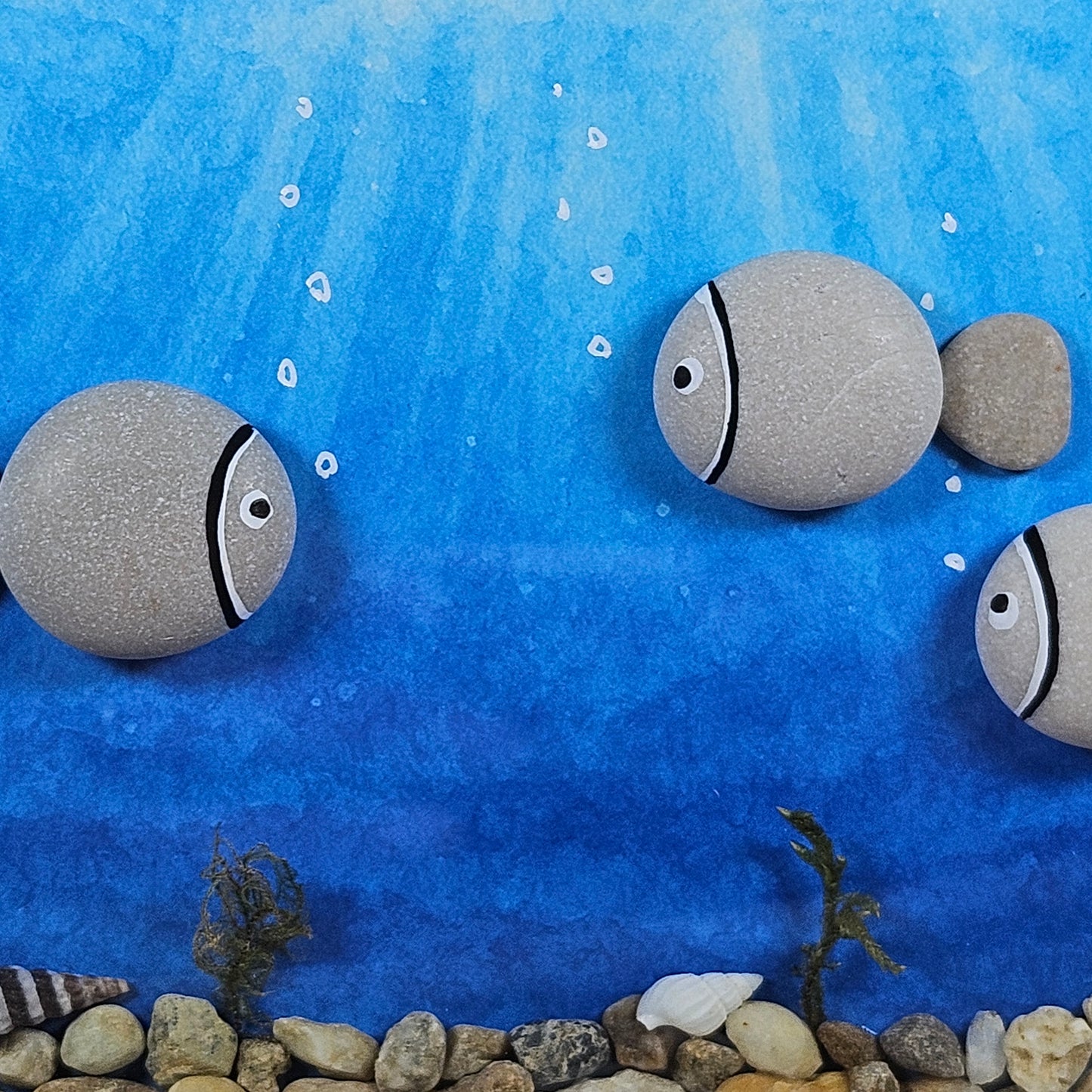 Poissons gris