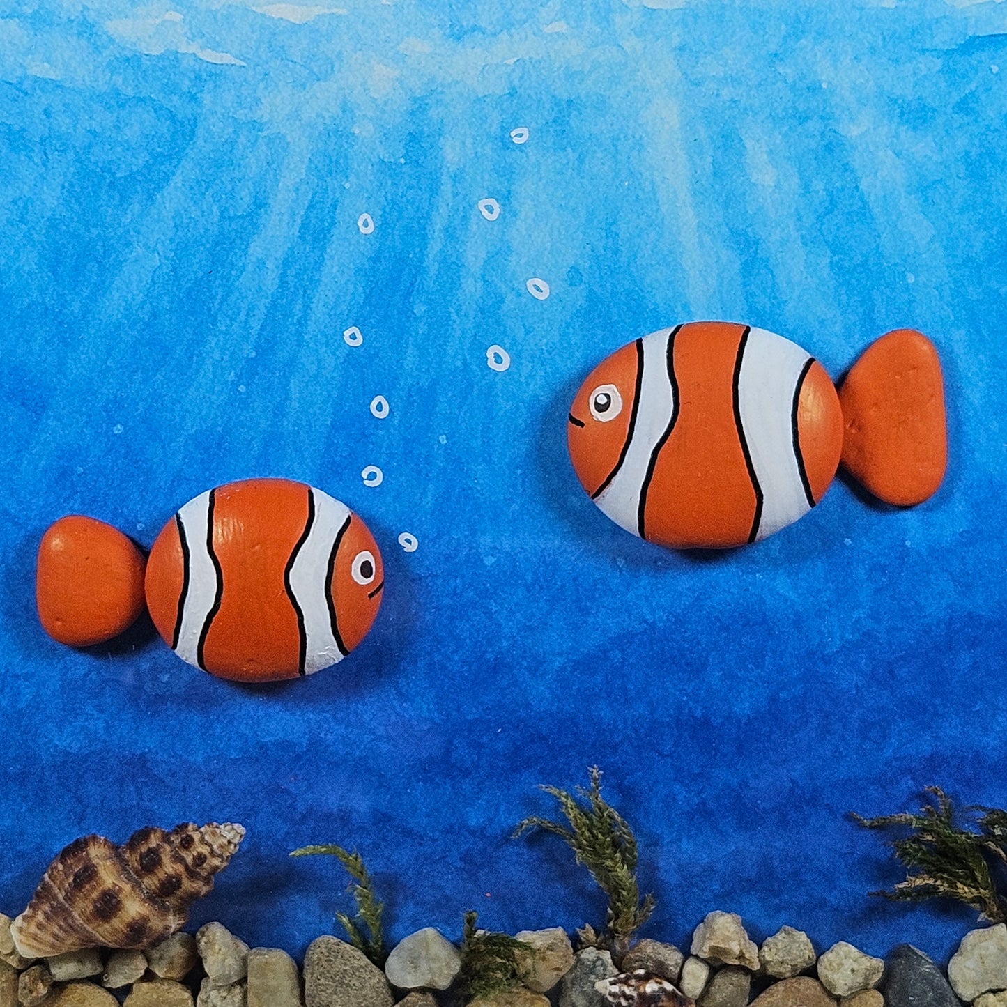 Poissons clown