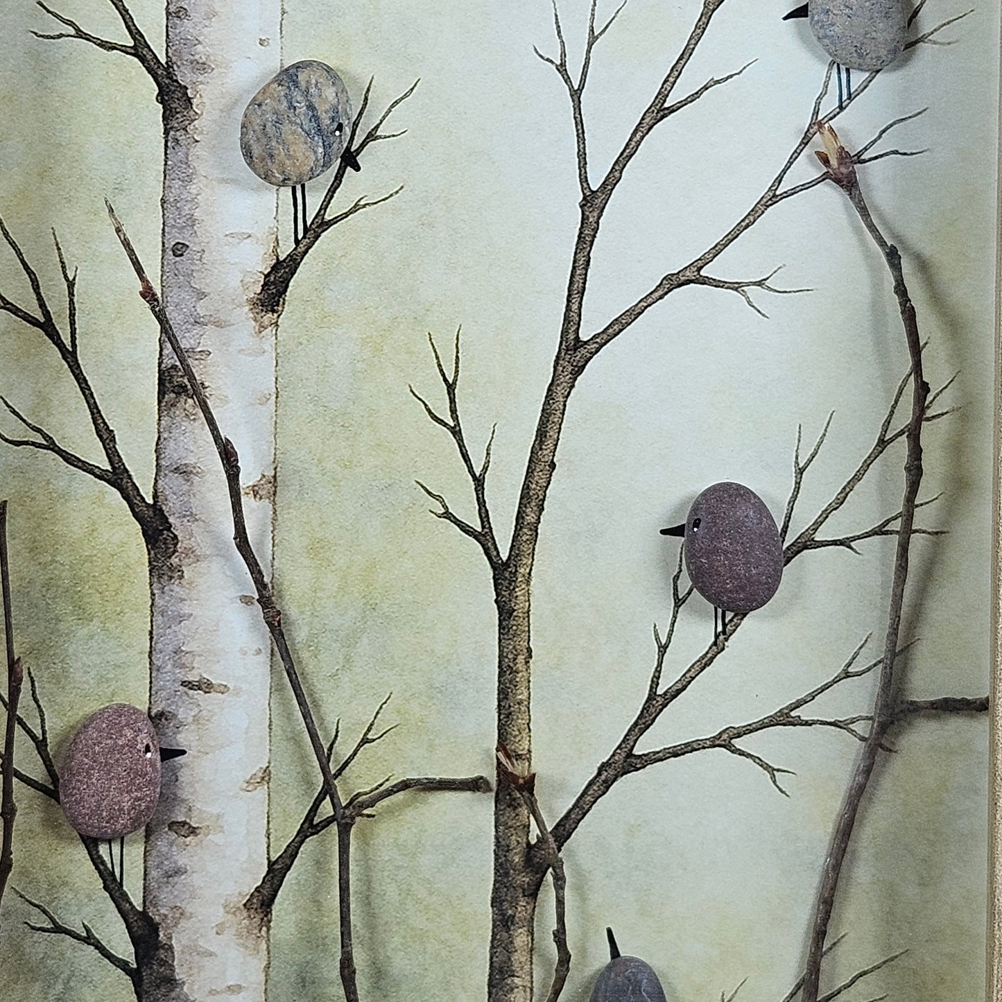 Oiseaux sur les bouleaux