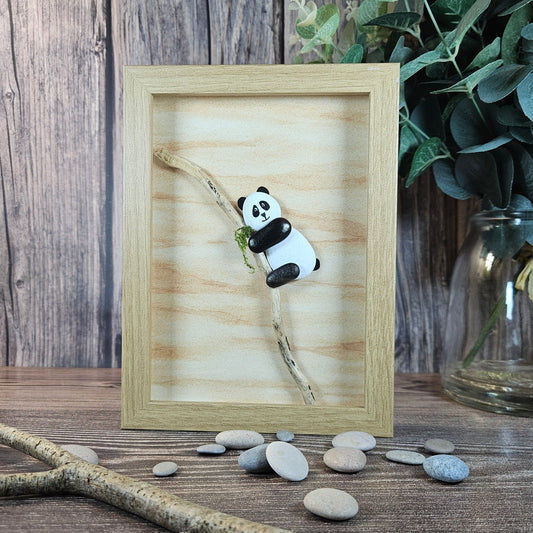 Petit Panda