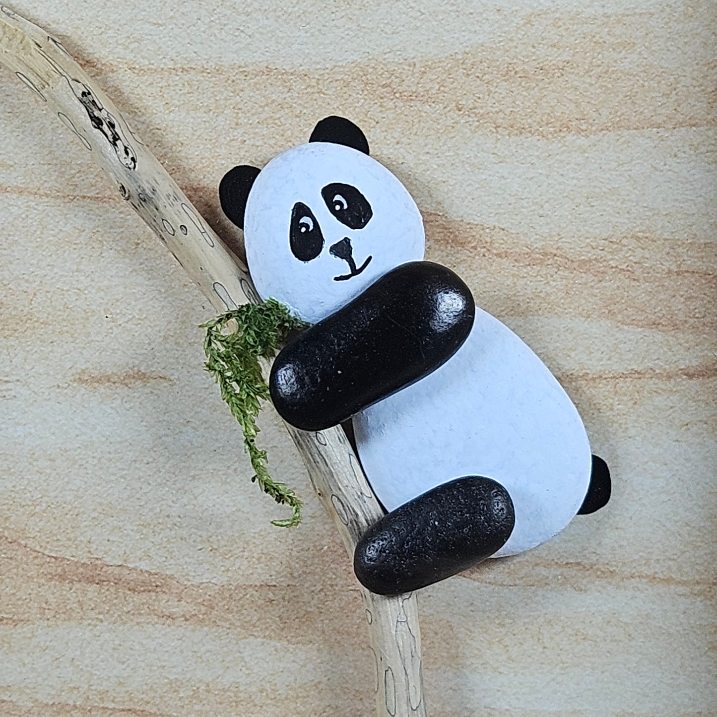 Petit Panda